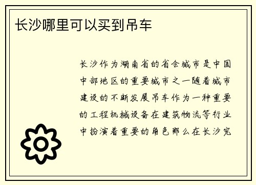 长沙哪里可以买到吊车